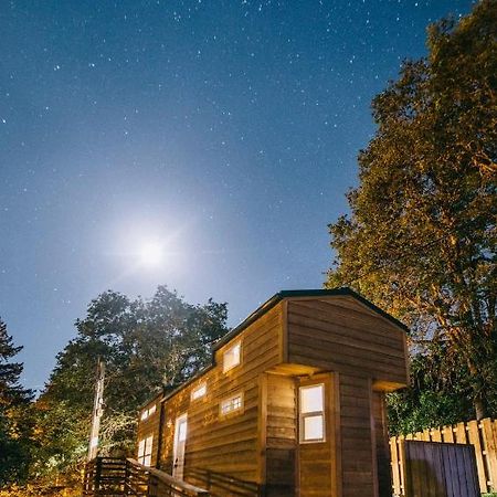Umpqua'S Last Resort - Wilderness Cabins, Rv Park & Glamping Idleyld Park Exterior foto
