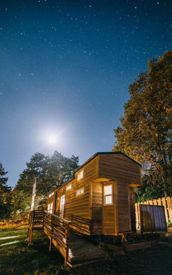 Umpqua'S Last Resort - Wilderness Cabins, Rv Park & Glamping Idleyld Park Exterior foto