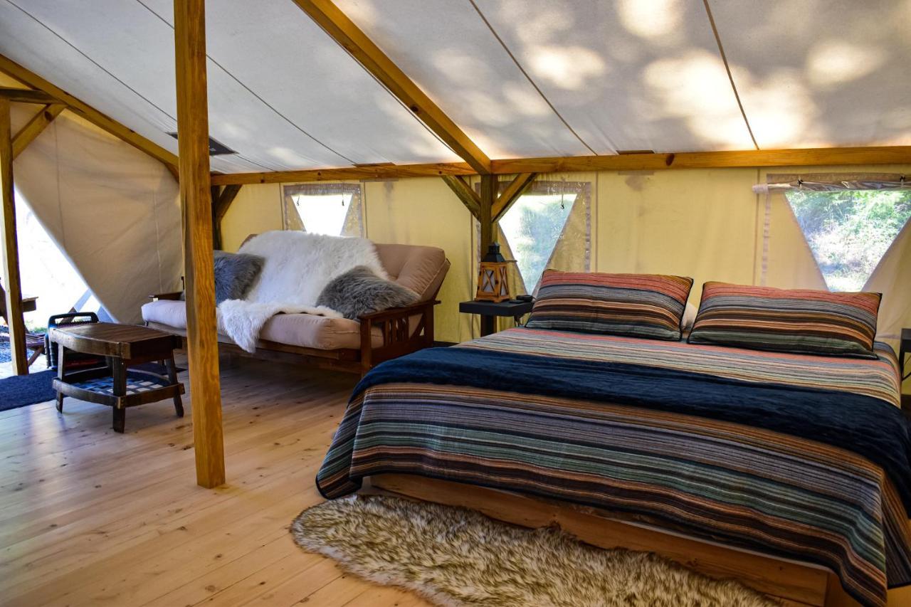 Umpqua'S Last Resort - Wilderness Cabins, Rv Park & Glamping Idleyld Park Exterior foto