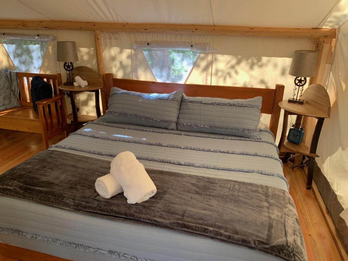 Umpqua'S Last Resort - Wilderness Cabins, Rv Park & Glamping Idleyld Park Exterior foto